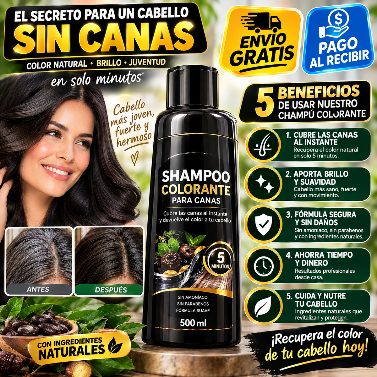Champú Colorante para Canas 500 ml – Color Intenso y Cabello con Más Brillo